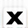 X (formerly Twitter) icon